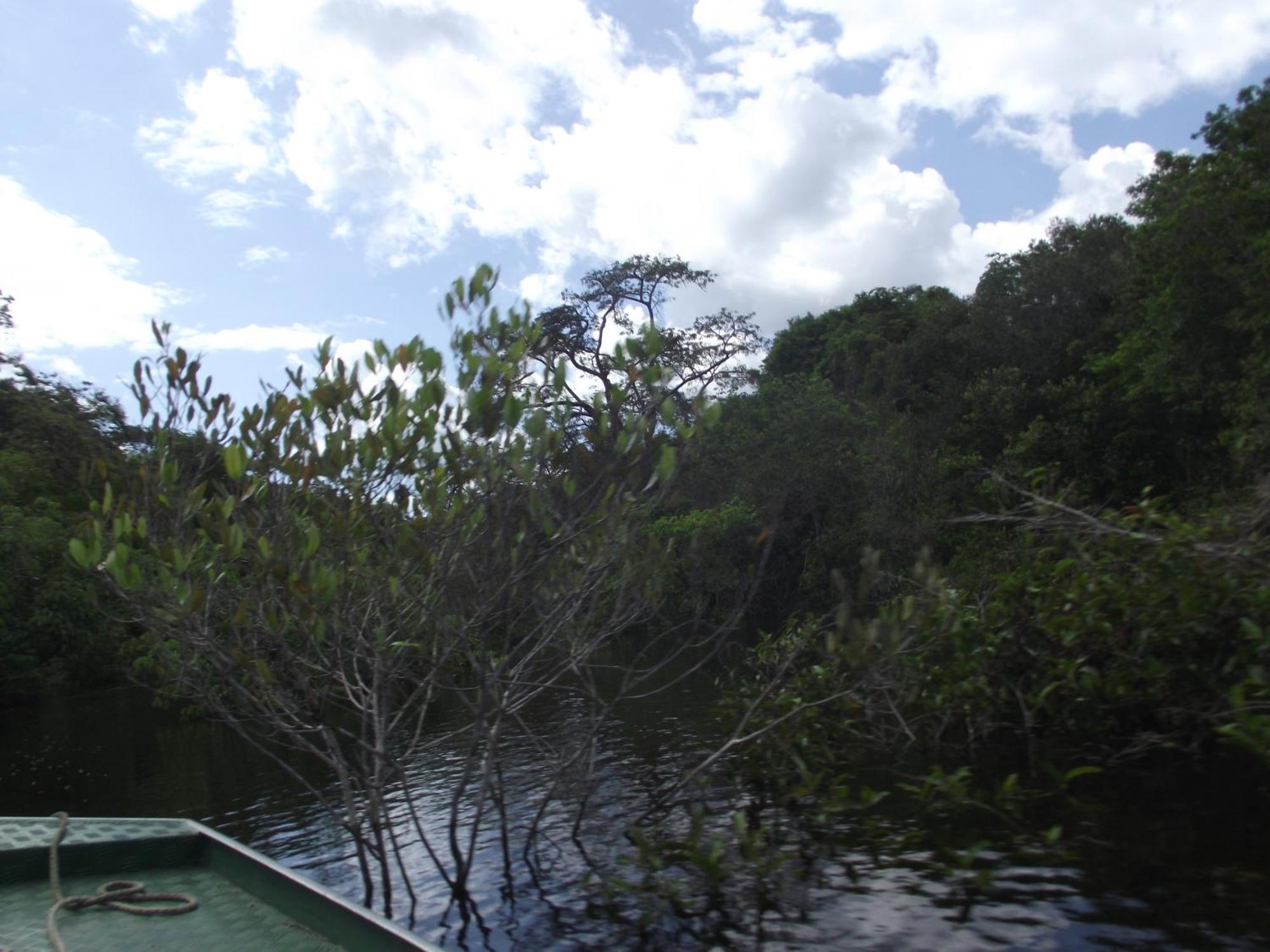Amazon Arowana Lodge Careiro Exterior photo